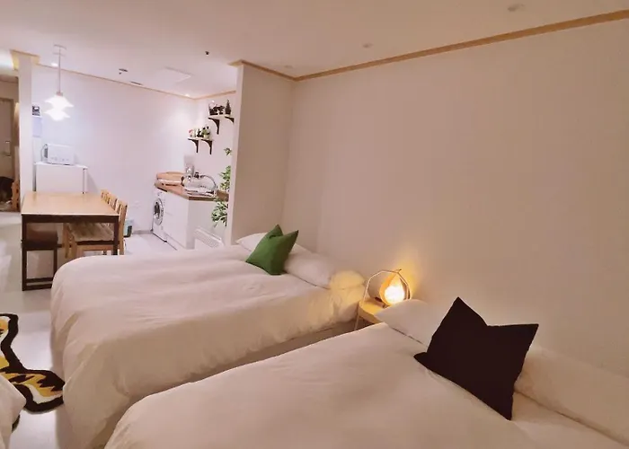 New Open Hongdae Tiger House