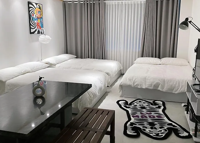 New Open Hongdae Tiger House Appartement