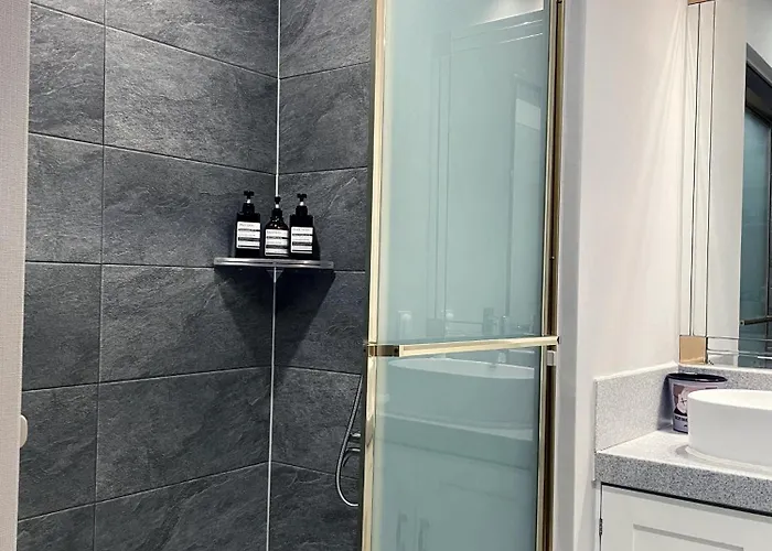 Appartement New Open Hongdae Tiger House *