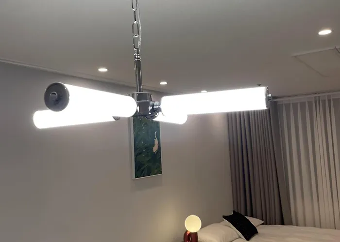 Appartement New Open Hongdae Tiger House *
