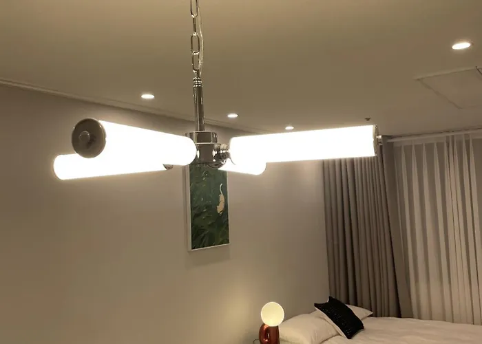 New Open Hongdae Tiger House *